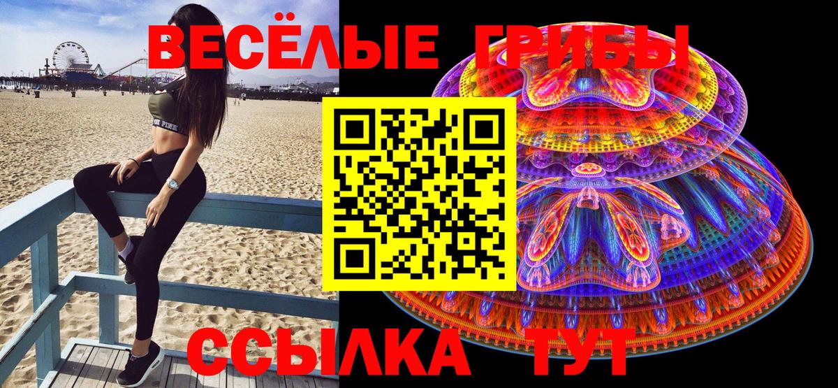 Псилоцибиновые грибы GOLDEN TEACHER  Вход с VPN  Дербент  Галлюциногенные грибы мицелий 