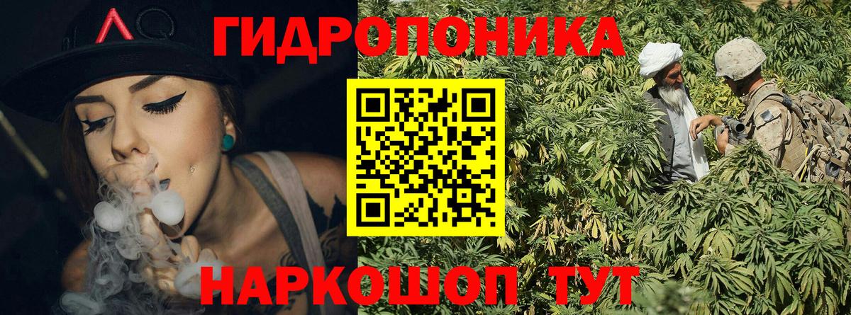 Бошки марихуана SATIVA & INDICA  Вход с VPN  Дербент  Каннабис Ganja  Бошки Шишки планчик 